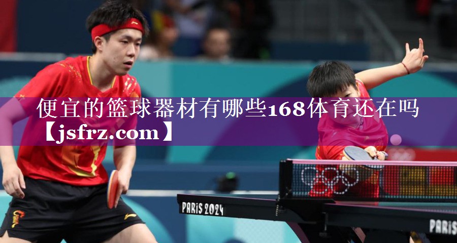 便宜的篮球器材有哪些168体育还在吗