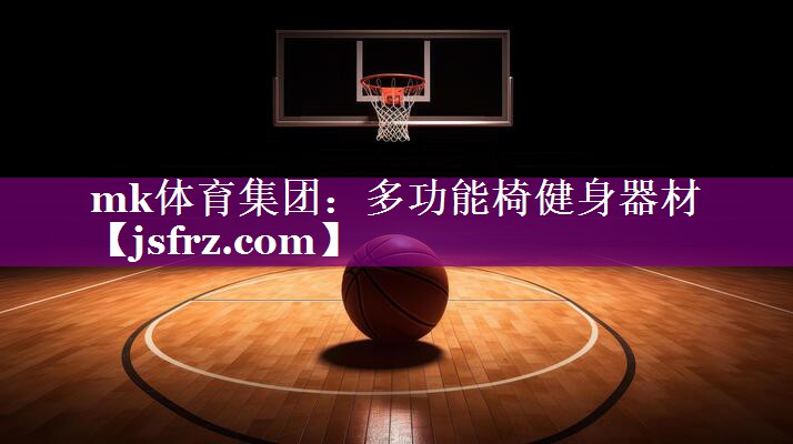 mk体育集团：多功能椅健身器材