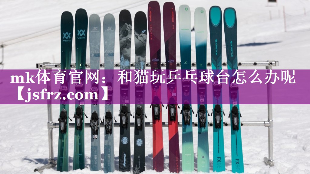 mk体育官网：和猫玩乒乓球台怎么办呢