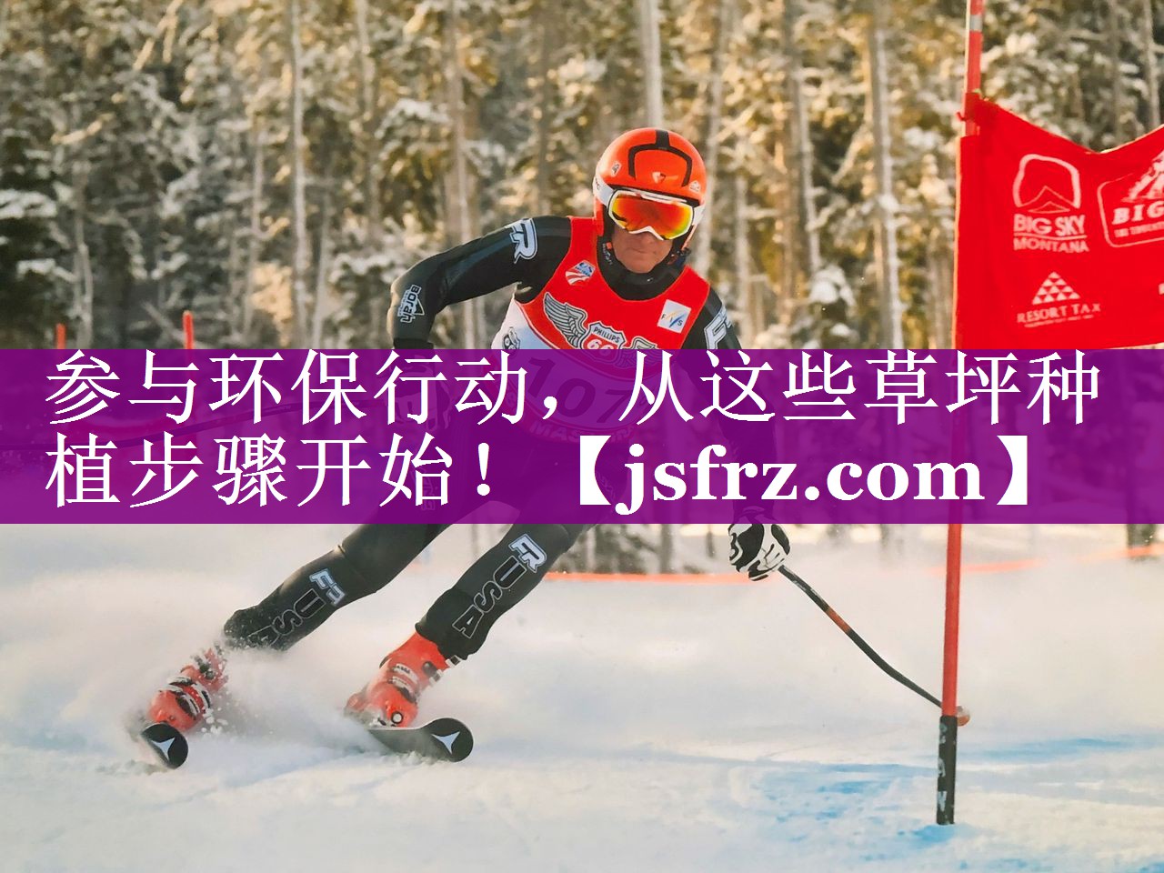参与环保行动，从这些草坪种植步骤开始！