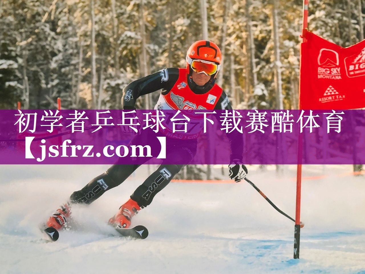 初学者乒乓球台下载赛酷体育