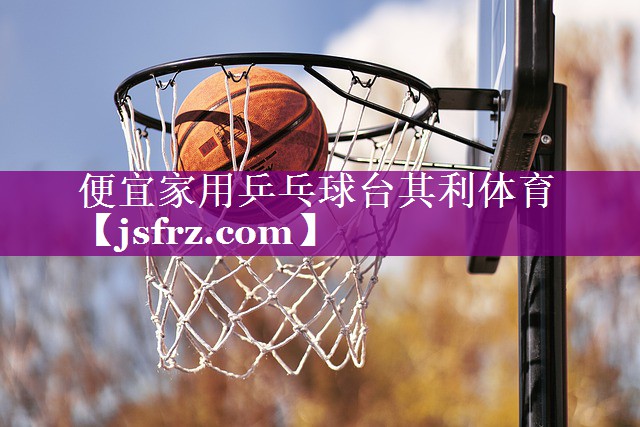 便宜家用乒乓球台其利体育
