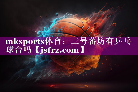 二号蕃坊有乒乓球台吗
